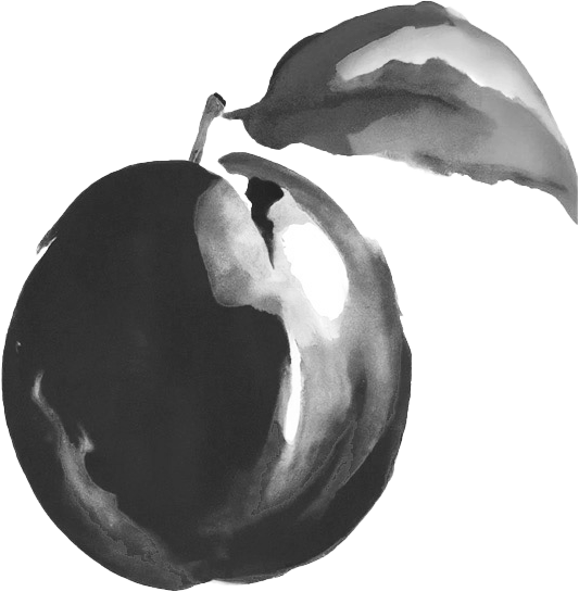 Plum Design Group logo