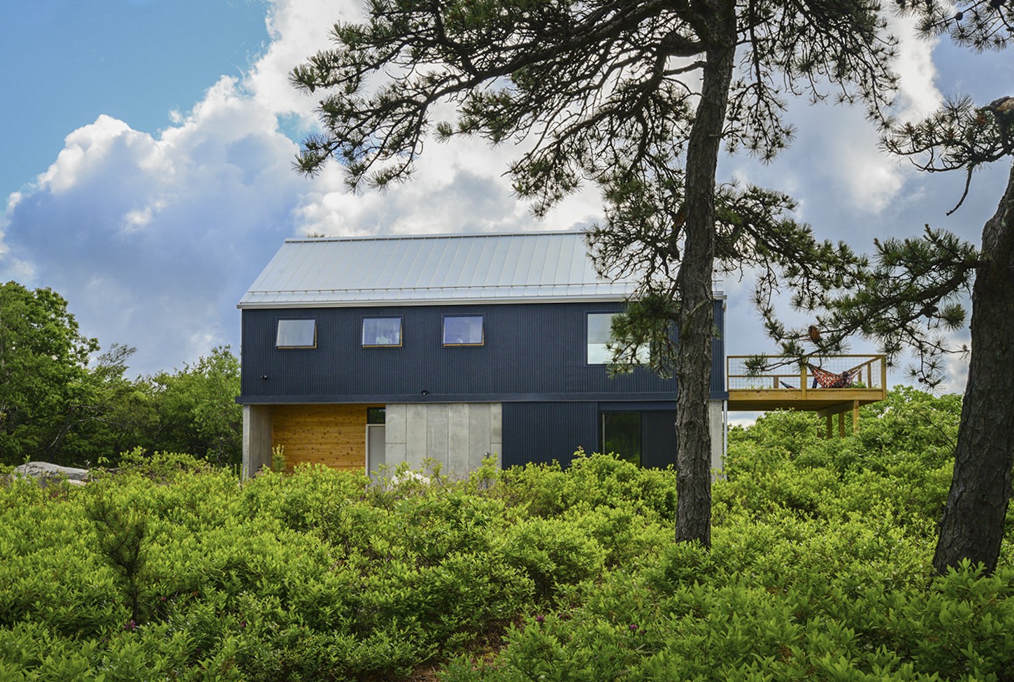 Laurel Mtn — detail view