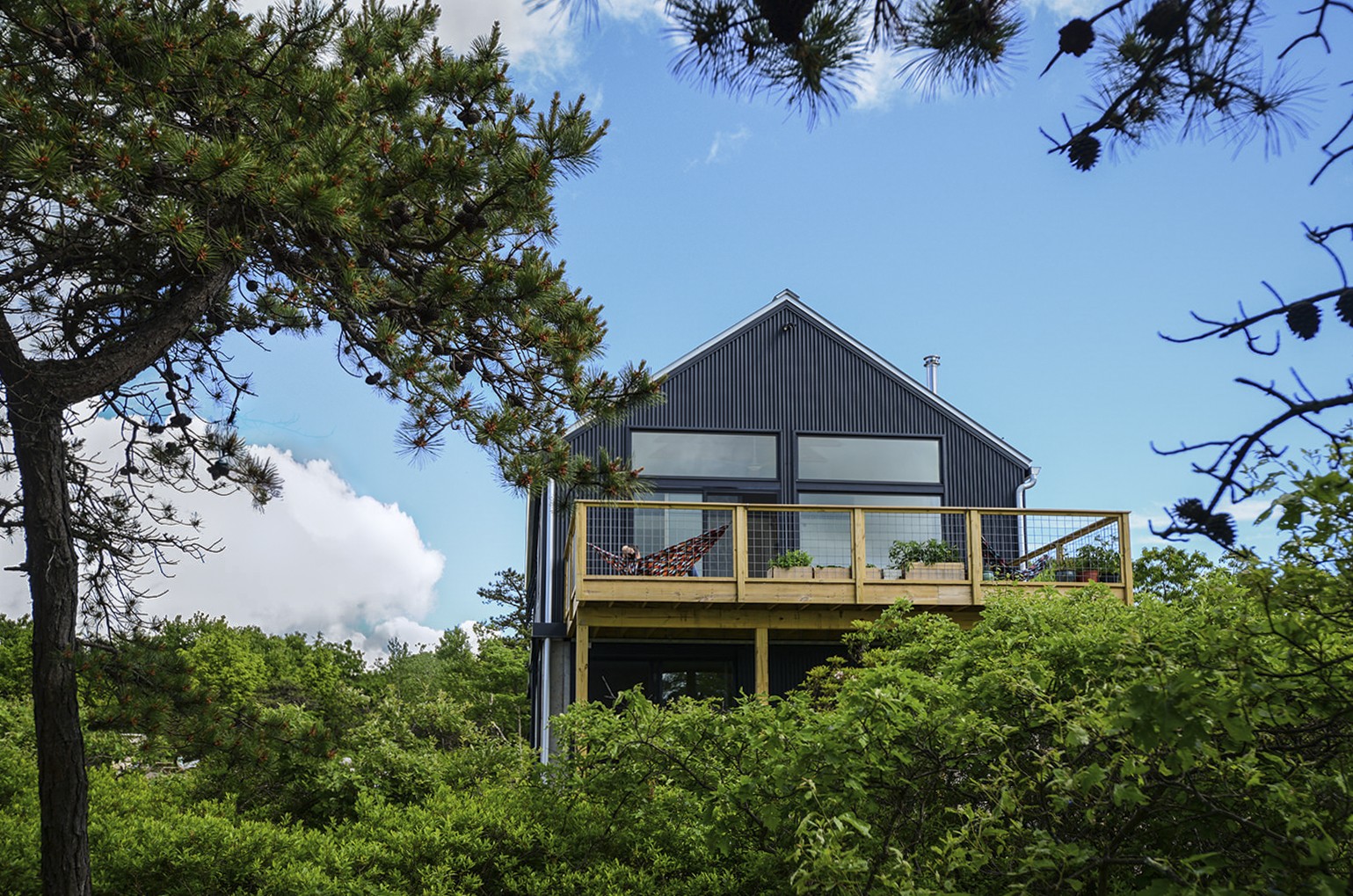 Laurel Mtn — design detail