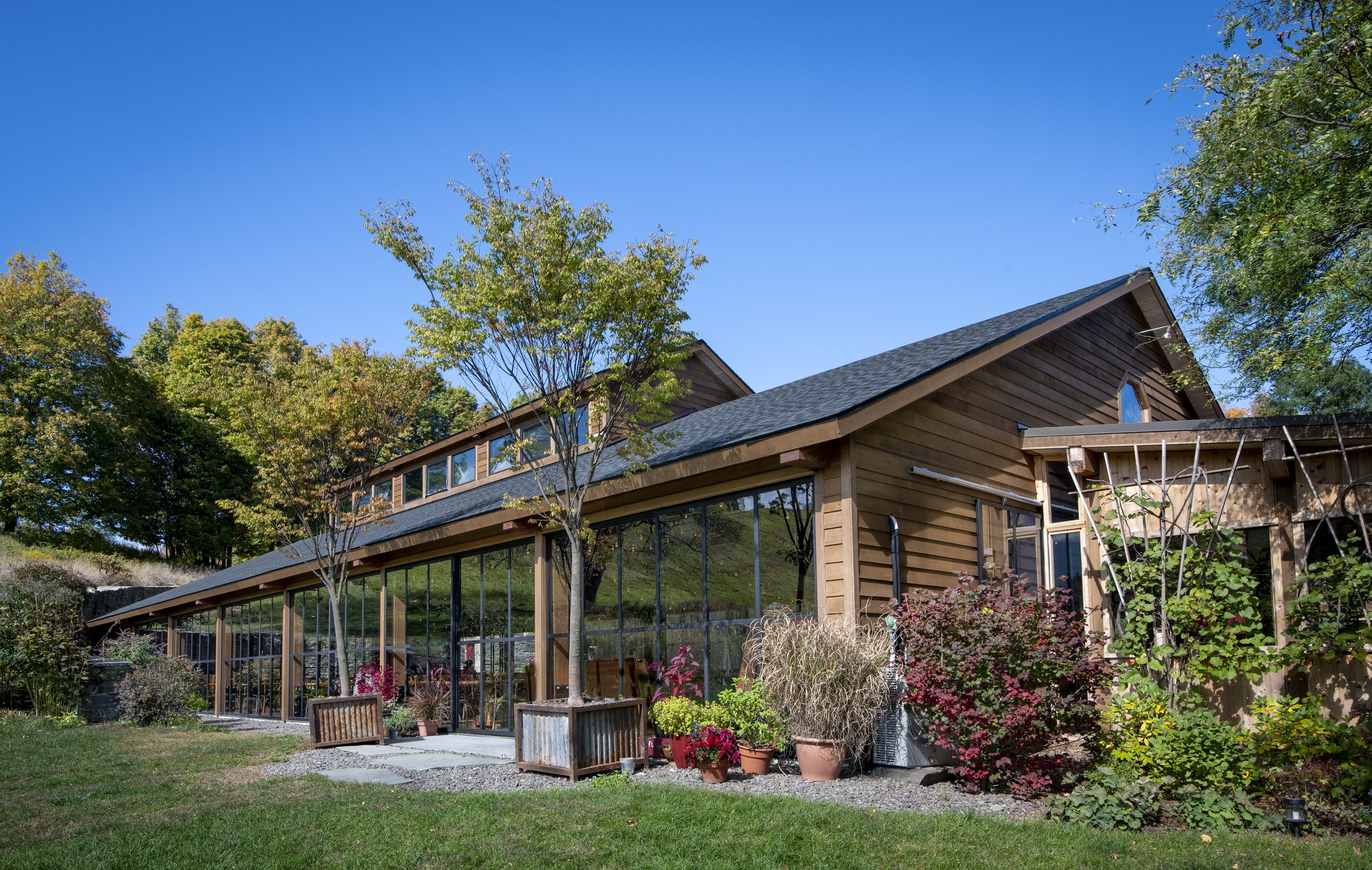 Red Maple Vineyard — site view